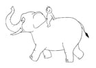 07b. elefante con passeggero