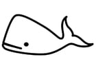 Disegni da colorare balena