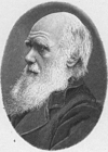 Disegni da colorare Charles Darwin