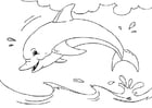 Disegni da colorare delfino