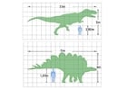 Disegni da colorare dimensioni dei dinosauri