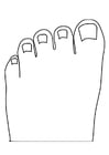 Disegni da colorare dita dei piedi