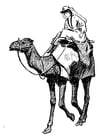 Disegni da colorare donna su cammello