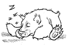 Disegni da colorare orso che dorme