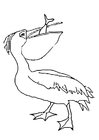 Disegni da colorare pelicano mangia pesce
