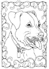 Disegni da colorare staffordshire bull terrier