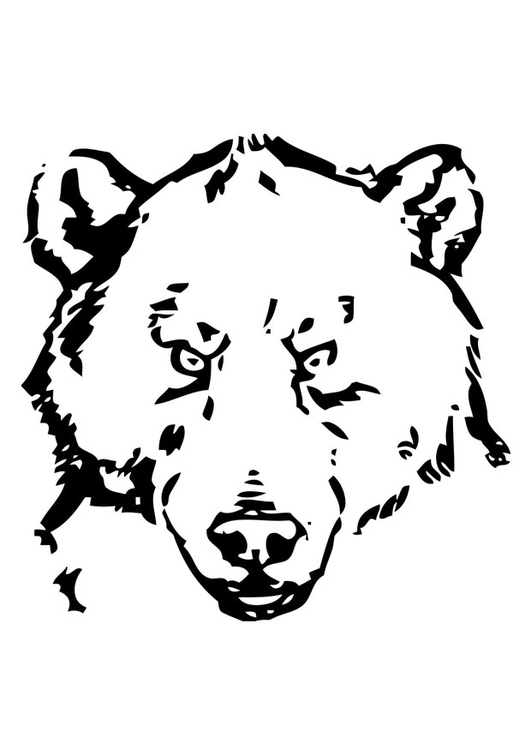 Disegno da colorare testa di orso