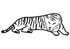Disegni da colorare tigre che dorme