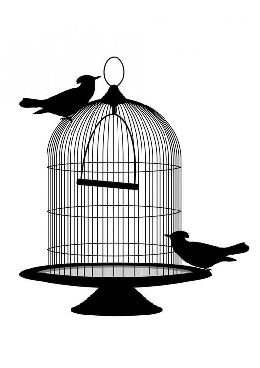 uccello fuori dalla gabbia