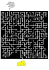 immagini labirinto