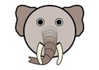 r1 - elefante