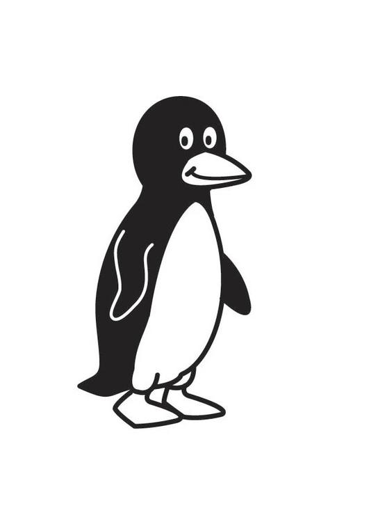 pinguino