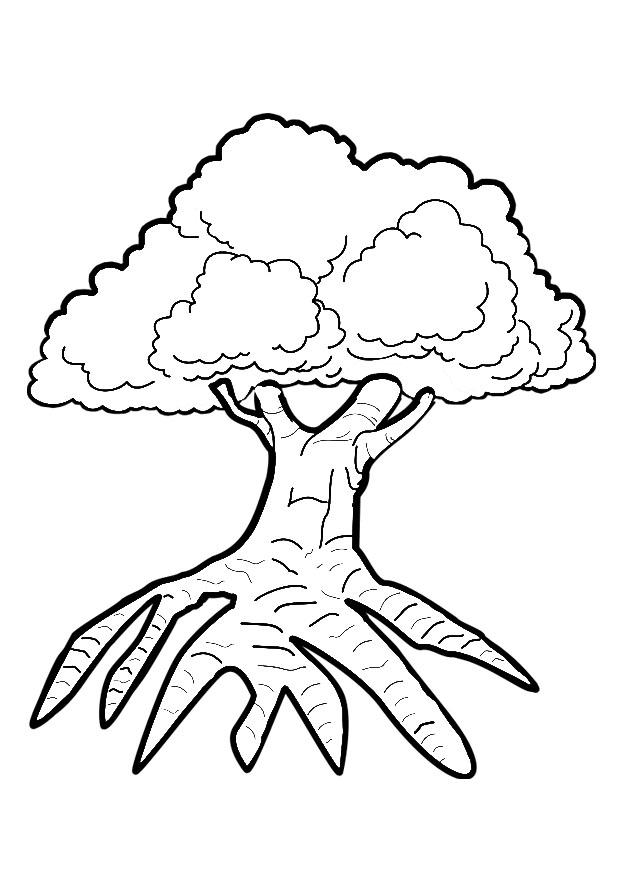 Disegno da colorare albero