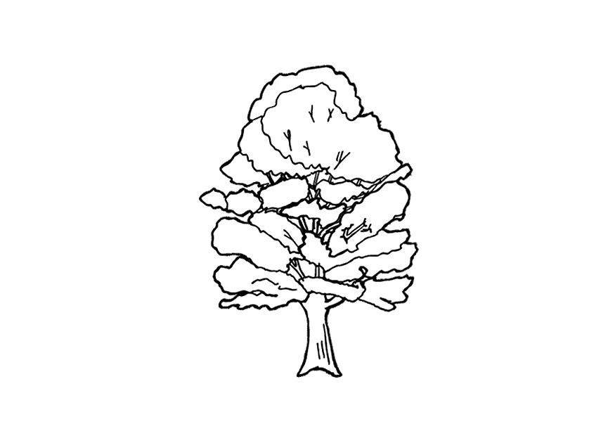 Disegno da colorare albero