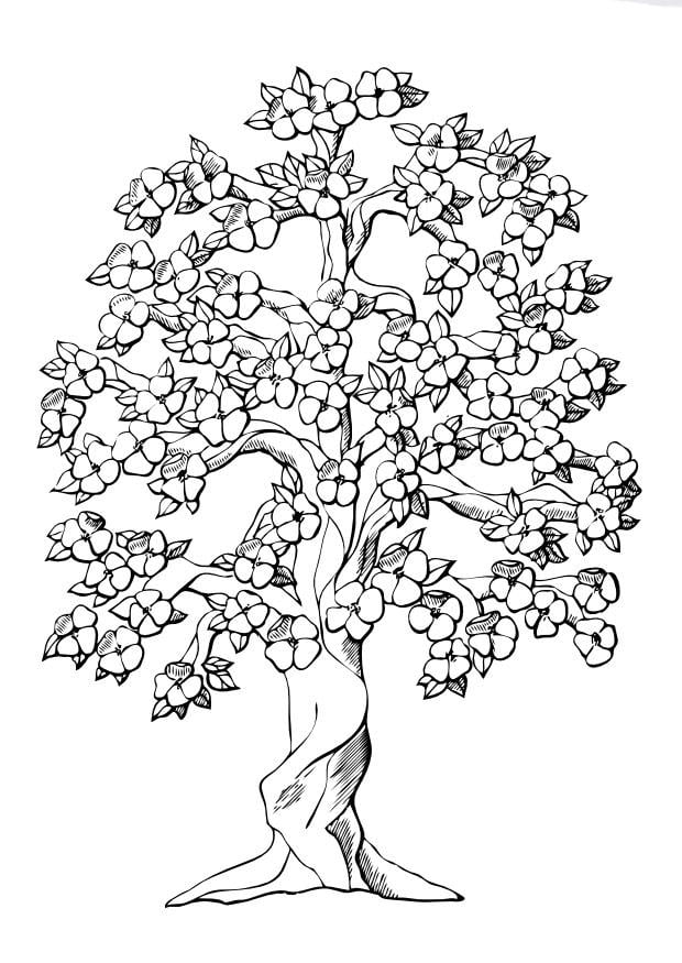 Disegno da colorare albero fiorito