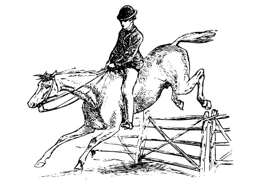 Disegno da colorare cavallo con cavallerizzo