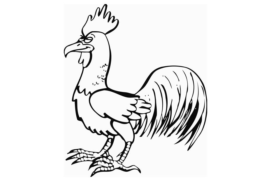 Disegno da colorare gallo