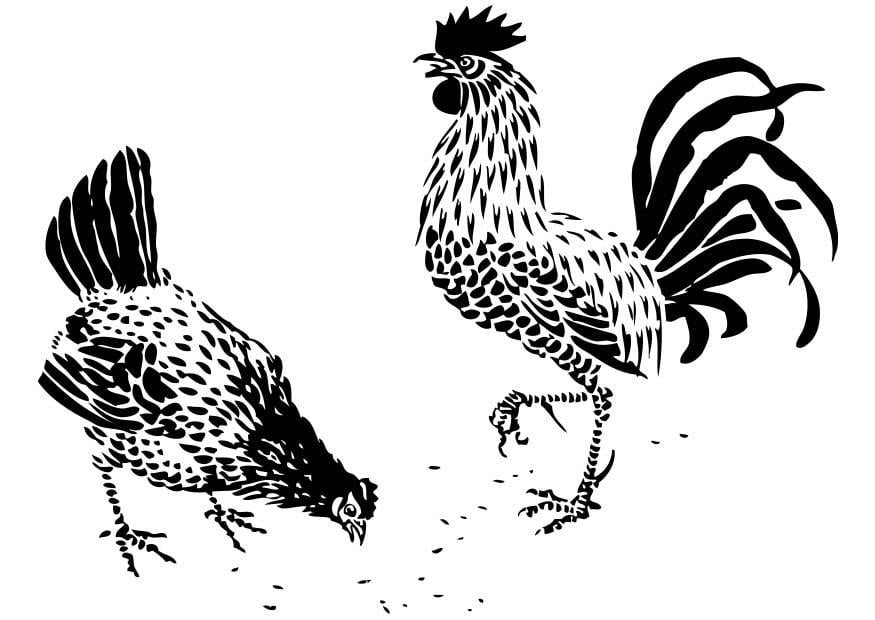 Disegno da colorare gallo e gallina