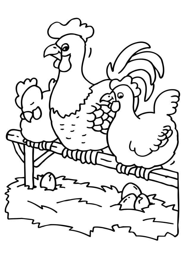 Disegno da colorare gallo e gallina