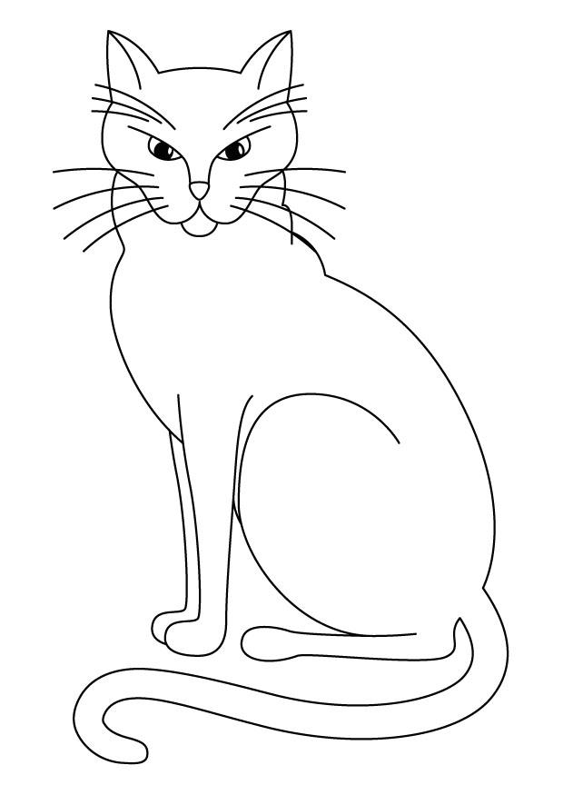 Disegno da colorare gatto