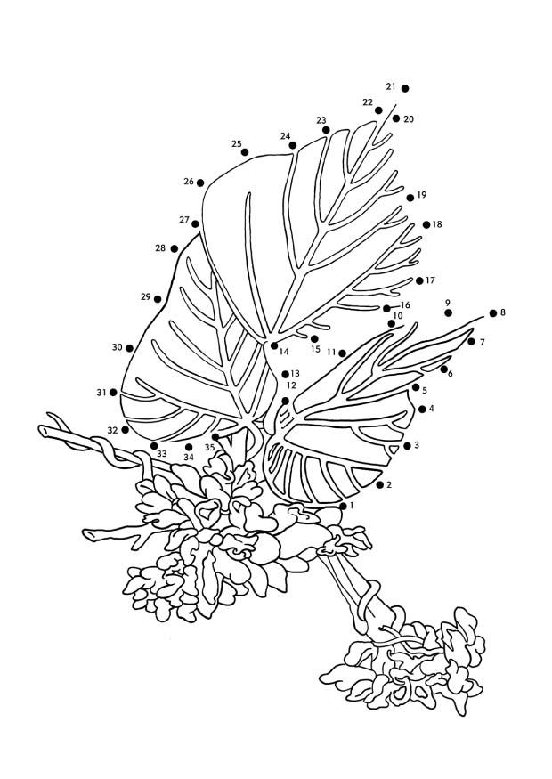 Disegno da colorare kudzu