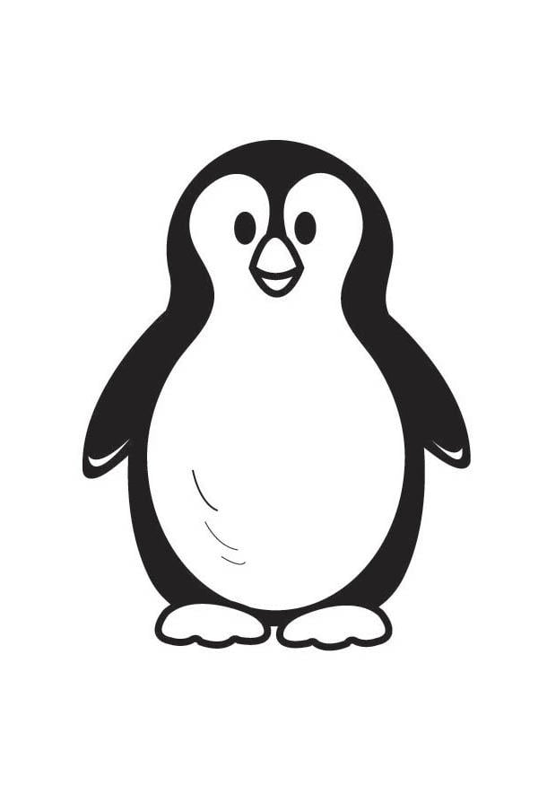 Disegno da colorare pinguino