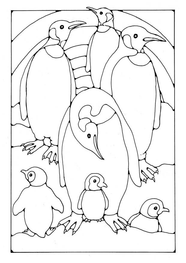 Disegno da colorare pinguino