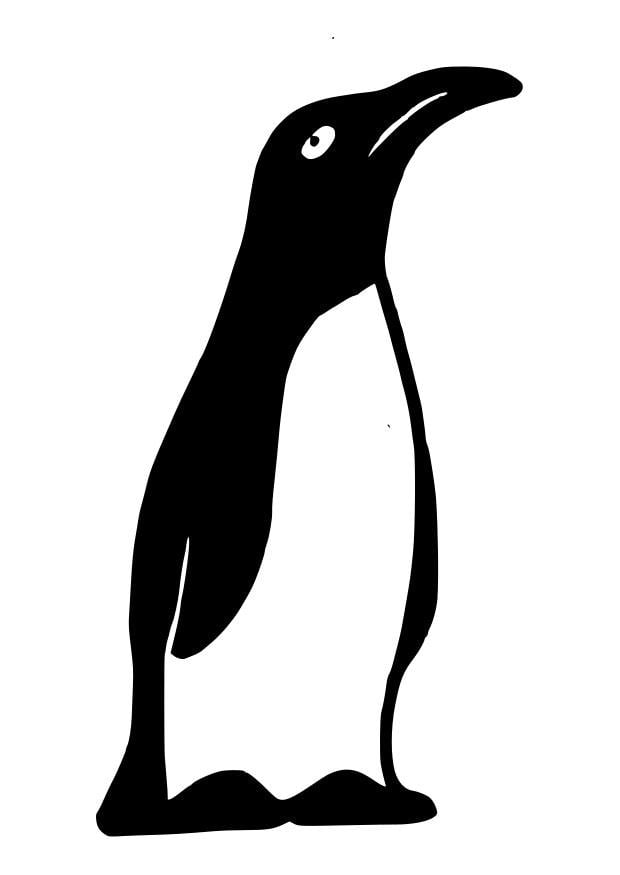 Disegno da colorare pinguino