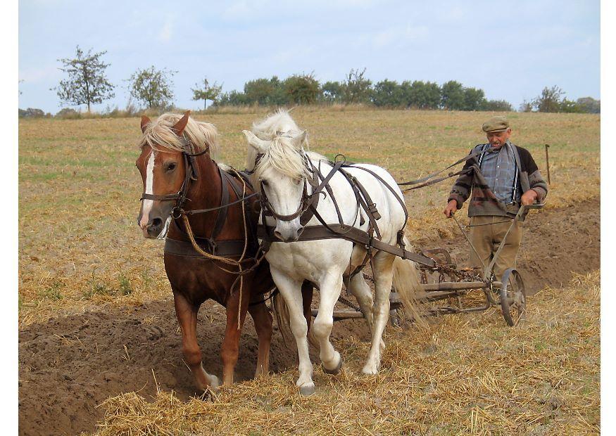 Foto agricoltore