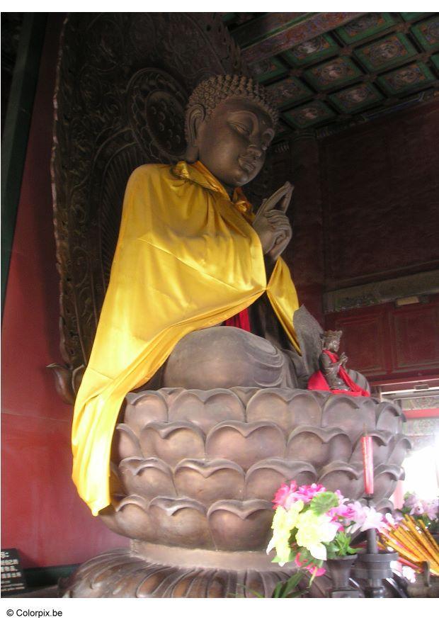 Foto budda nel tempio