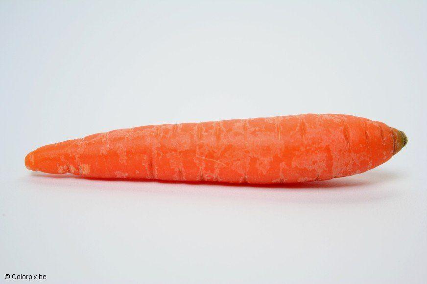 Foto carota