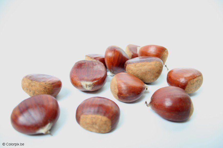 Foto castagne