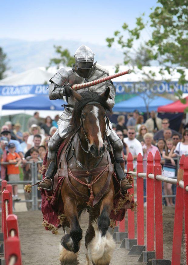 Foto cavalliere durante un torneo