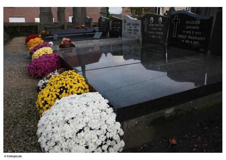 Foto fiori al cimitero