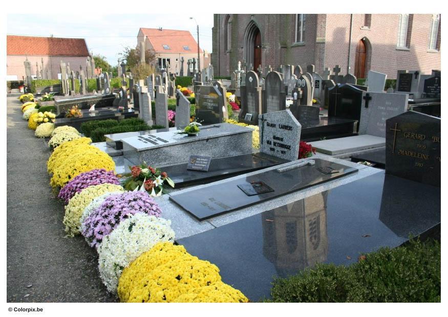 Foto fiori al cimitero