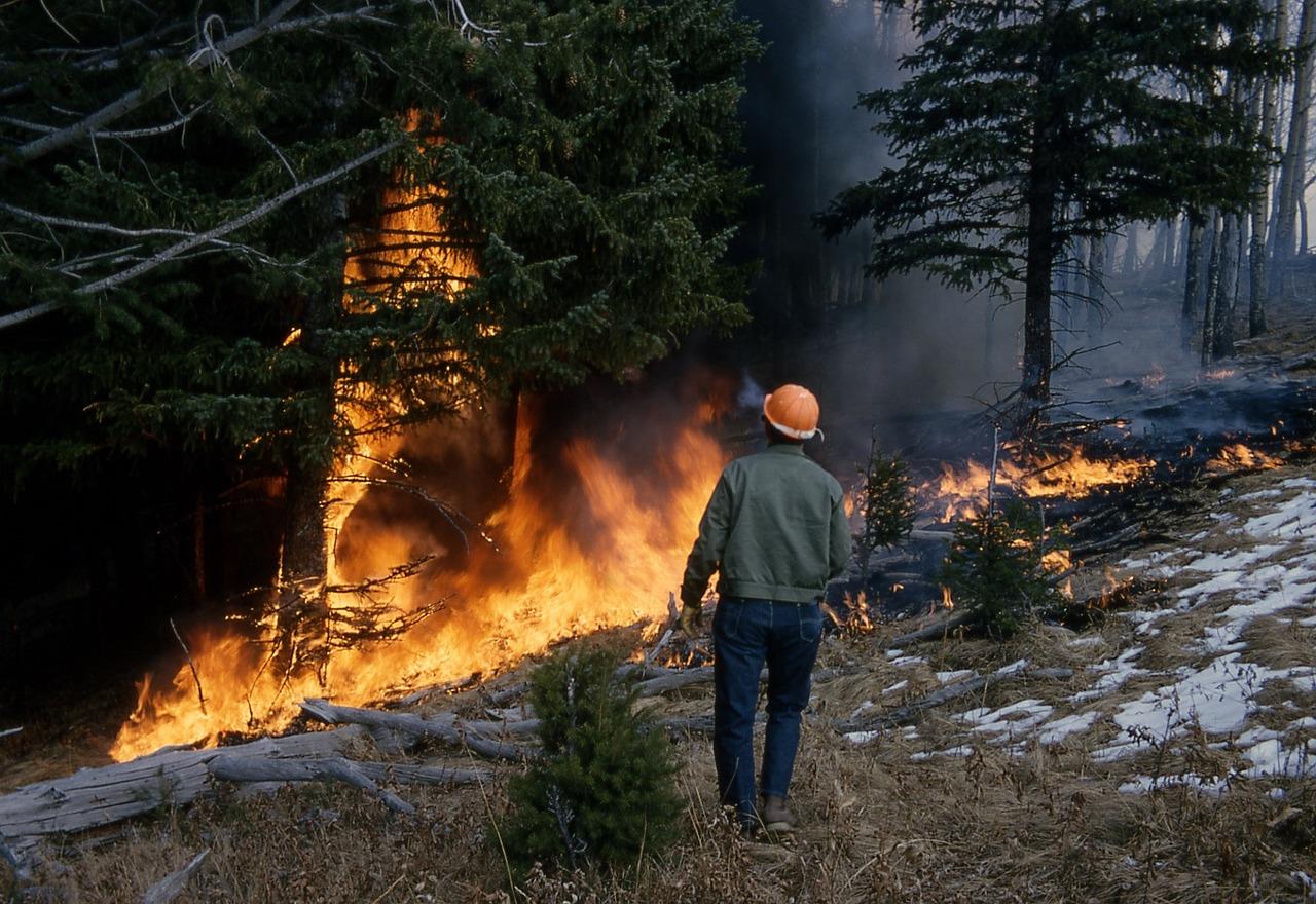 Foto incendi boschivi