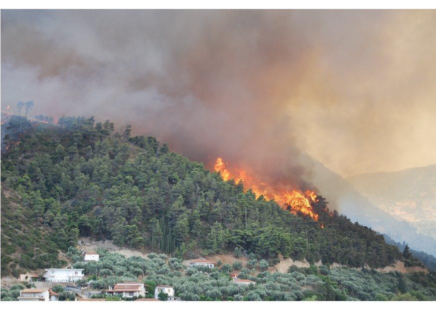 Foto incendio forestale