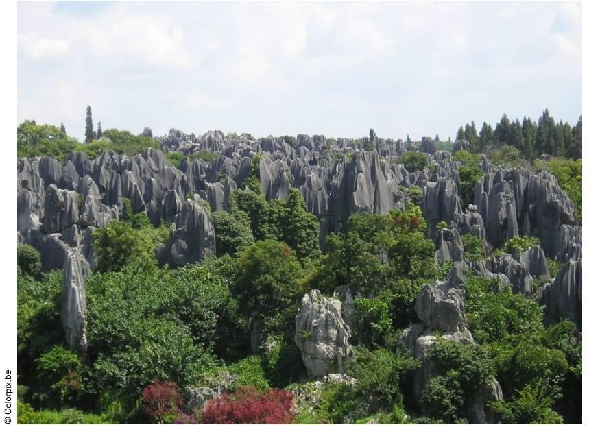 Foto la foresta pietrificata, kunming