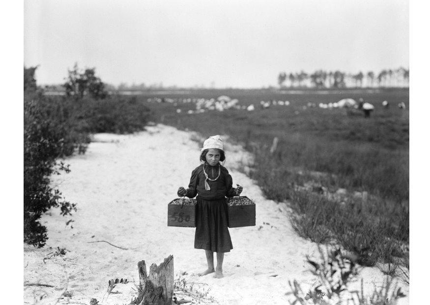 Foto lavoro infantile, 1910