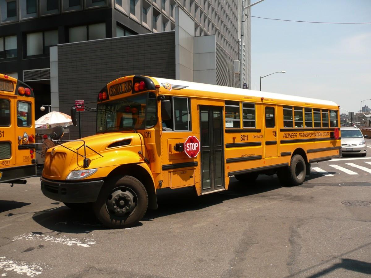 Foto new york - bus