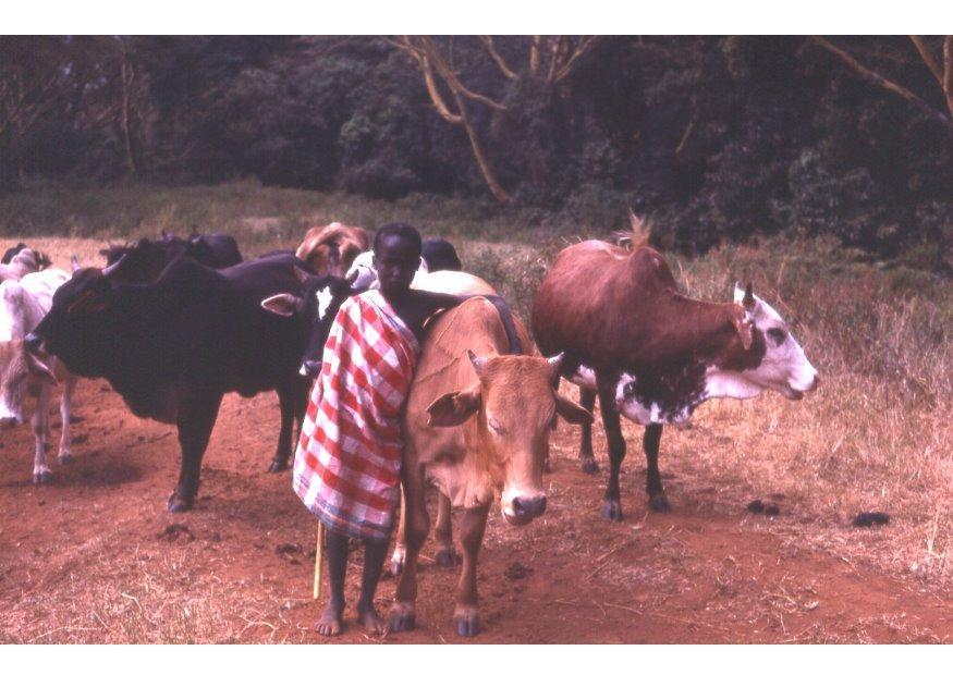 Foto pastore in kenia