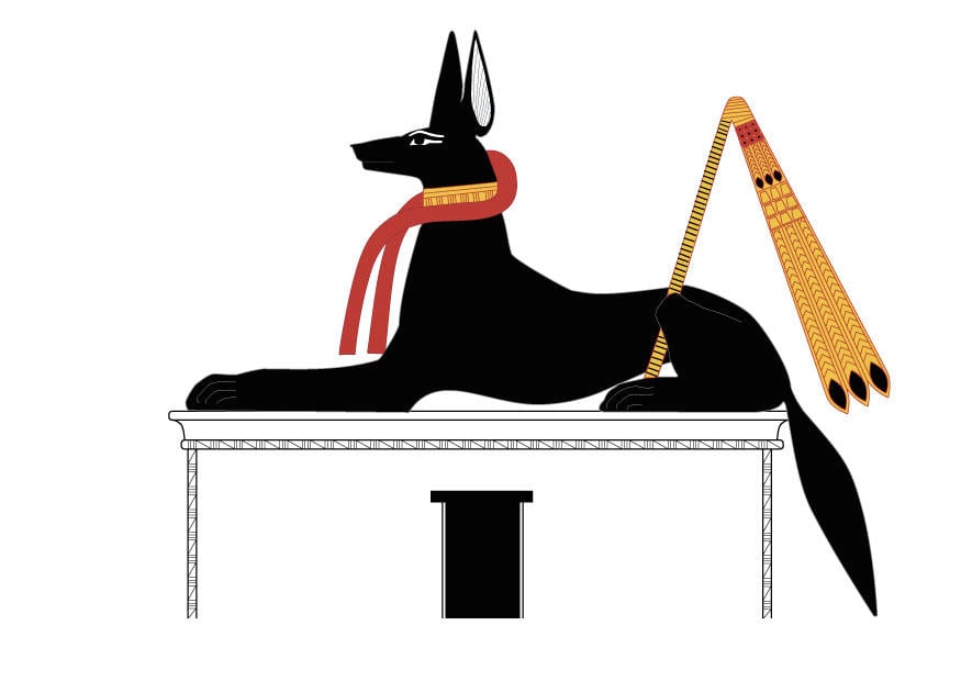 immagine anubis