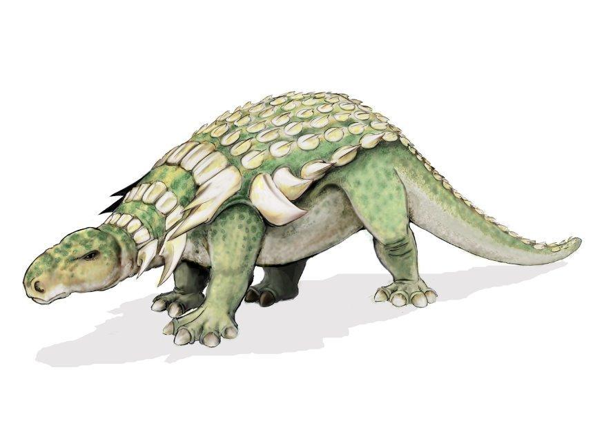 immagine dinosauro edmontonia