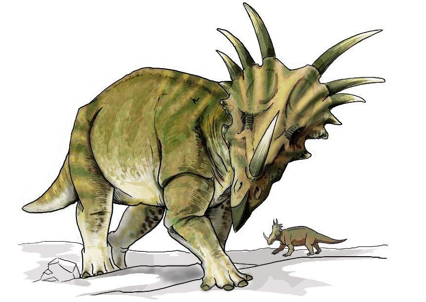 immagine dinosauro styracosauro