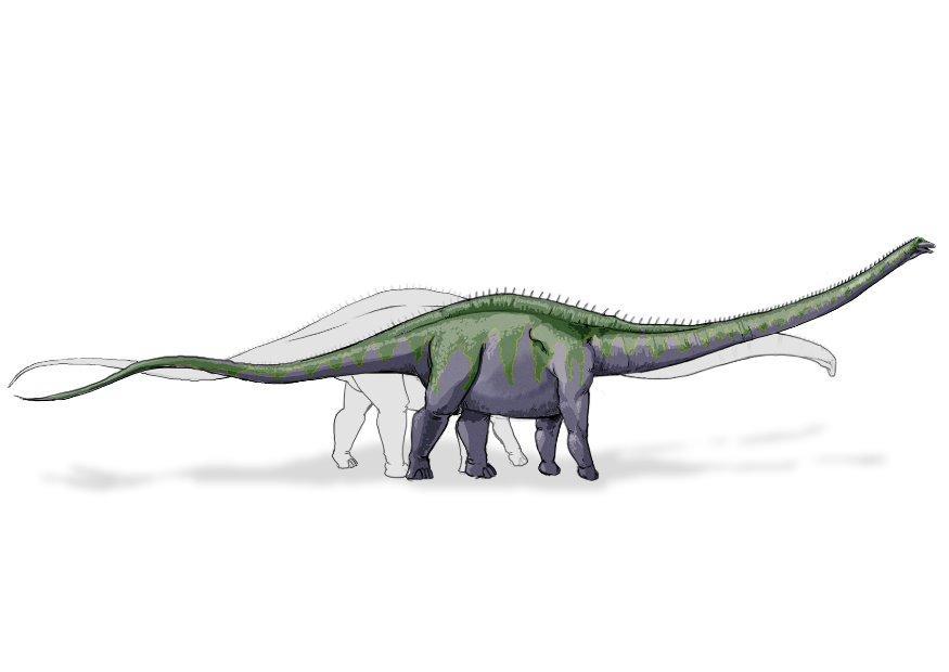 immagine dinosauro supersauro