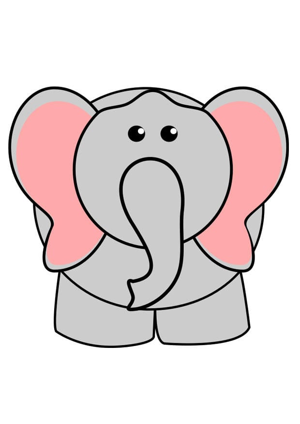 immagine elefante