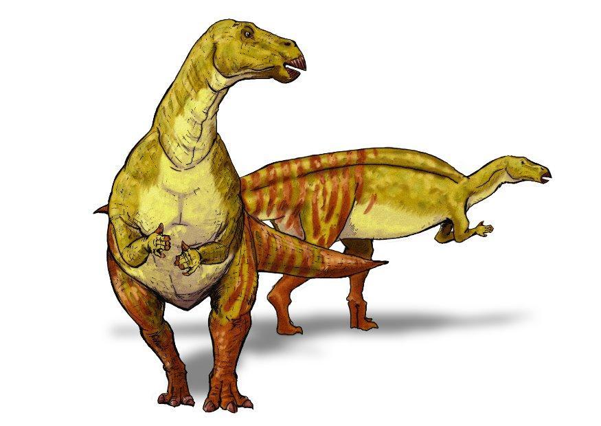 immagine iguanodont