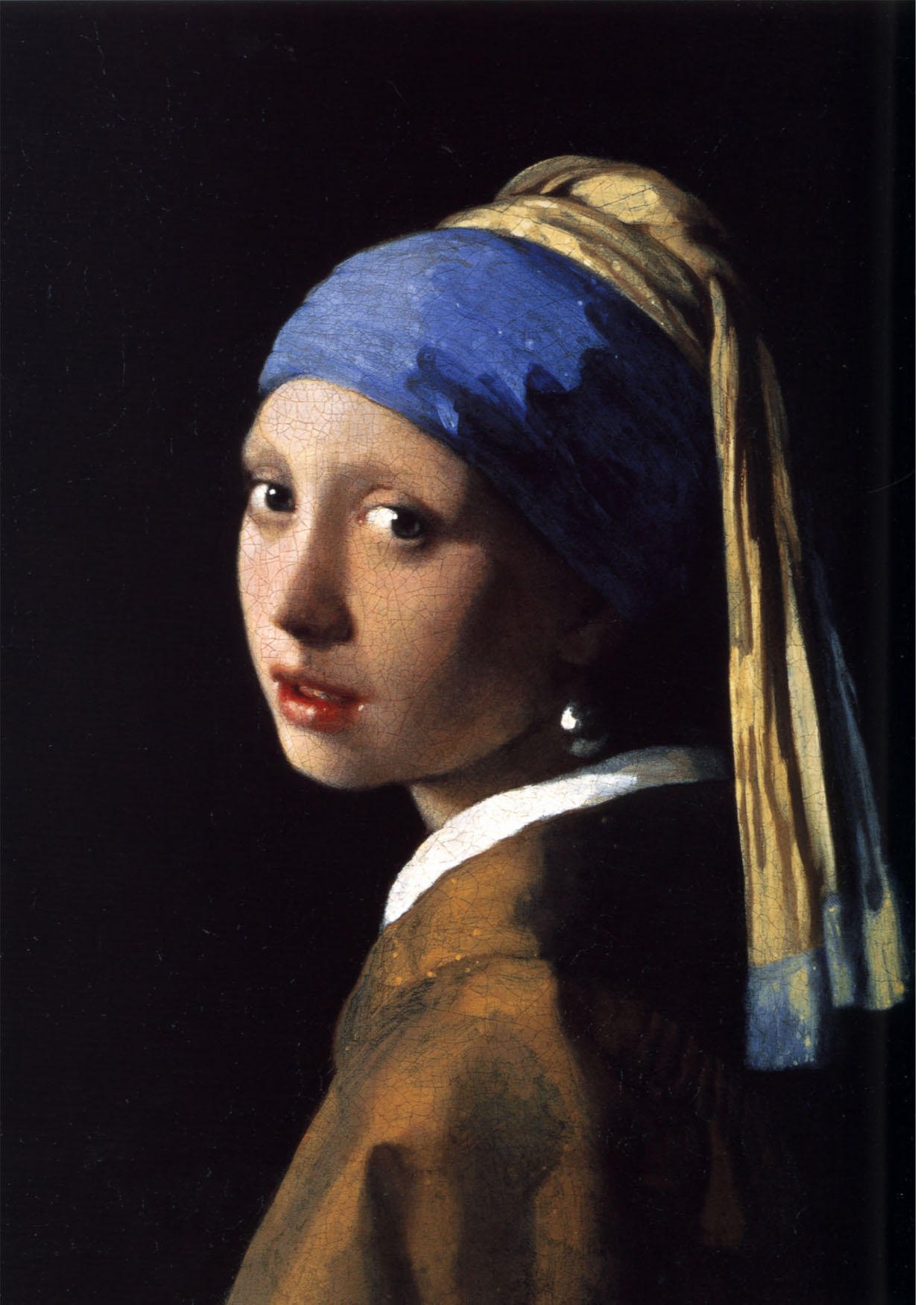 immagine la ragazza con lorecchino perlato - johannes vermeer