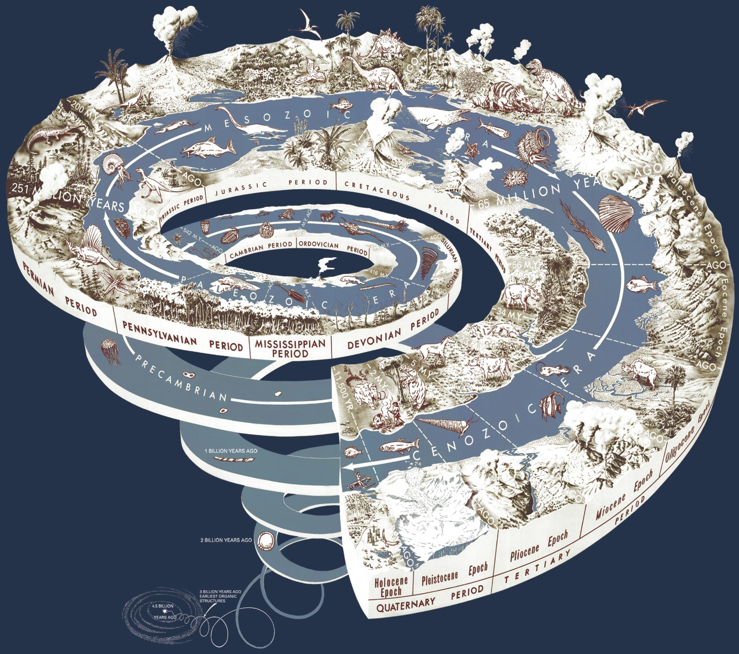 immagine spirale geologico