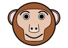immagine r1- scimmia